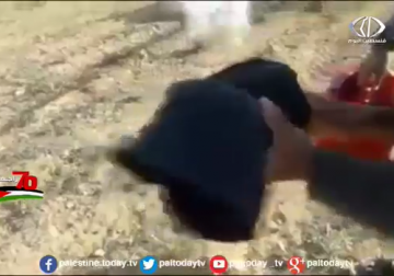 تقرير | الاحتلال يقر بفشله في وضع حد للطائرات الورقية الحارقة 