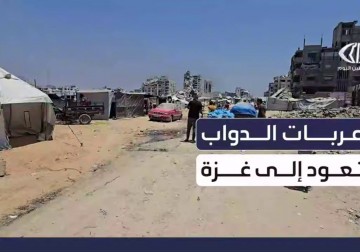 عربات الدواب .. وسيلة نقل أساسية في قطاع غزة