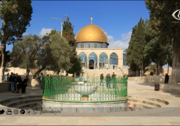 تقرير | مجلس الإفتاء الفلسطيني يصدر قراراً بتحريم المشاركة في انتخابات بلدية الاحتلال