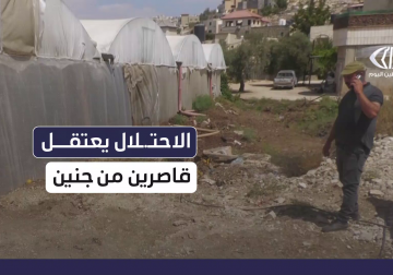 قوات الاحتلال تعتقل 7 مواطنين بينهم قاصرون جنوب جنين تفرج عنهم بعد التنكيل بهم