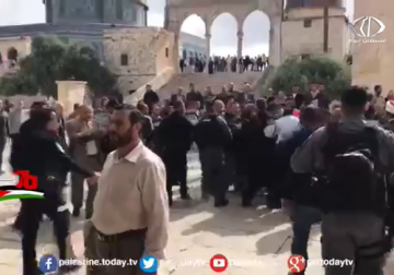 تقرير| قوات الاحتلال تعتدي بوحشية على الحراس والموظفين في المسجد الأقصى المبارك