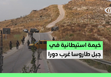  مستوطنون يقتحمون جبل طاروسا غرب مدينة دورا بالخليل 