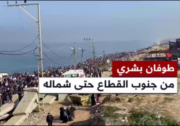 مراسل فلسطين اليوم محمد منصور يرصد اللحظات الأولى لعودة النازحين إلى شمال القطاع