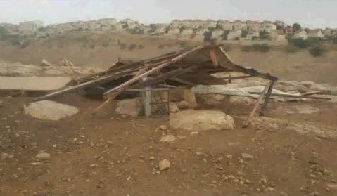 العيزرية.. تضرر العديد من المنازل وحظائر الأغنام بتجمع أبو النوار