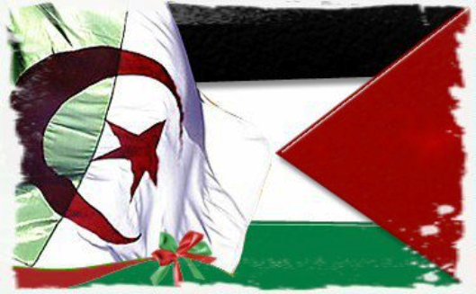 تضامن الجزائر مع الأسرى الفلسطينيين