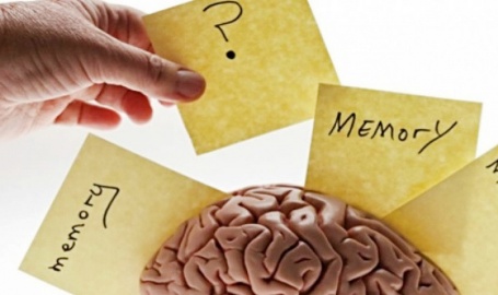 11 نوعا من الطعام يساعد على تقوية الذاكرة وتحسين المزاج