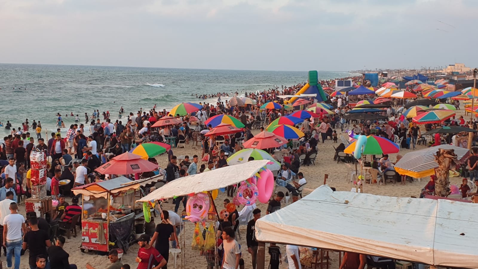 146-035210-summer-seasonal-livelihood-youth-gaza-3.jpeg