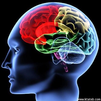 نصائح للحد من تراجع معدلات التركيز خلال يوم العمل