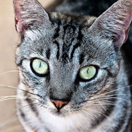 هر يسقط من الطابق الـ12.. وينجو