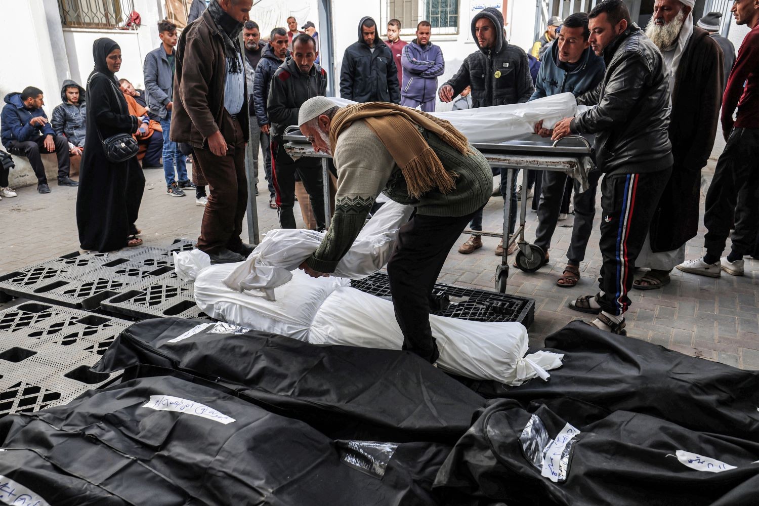 غزة جديد.jpg-c713702e-6230-46d0-b593-3d9f660a0f65.jpg