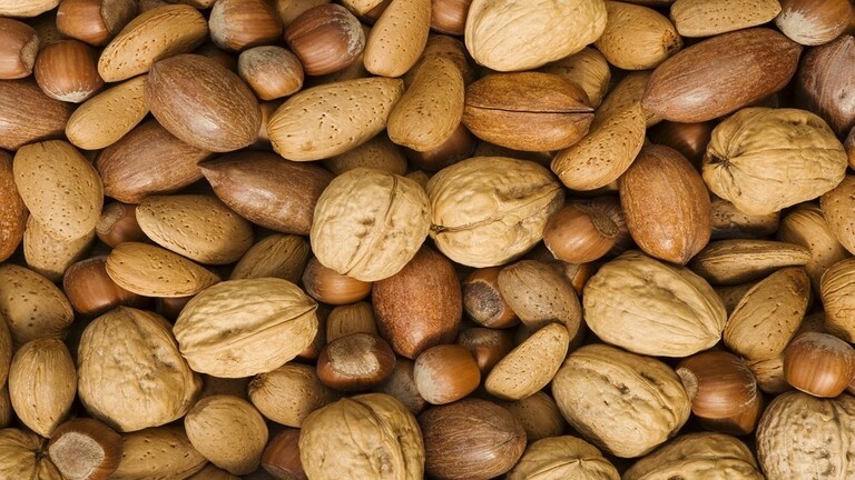 62ce667b4236045c40176023.jpg