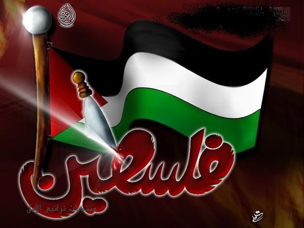 الأجندة المحلية في نشرة صباح  فلسطين