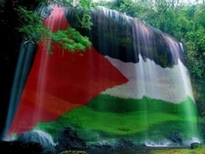 الأجندة المحلية في نشرة صباح  فلسطين