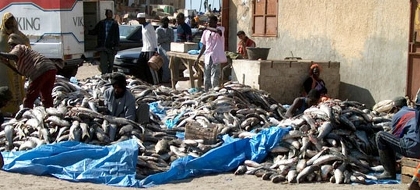 خمسة كيلوجرامات من السمك بدولار واحد شرق موريتانيا