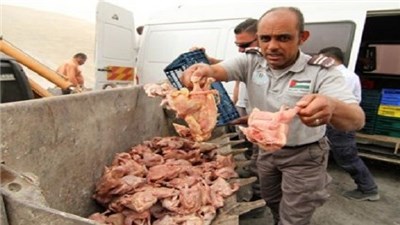 ضبط 2500 كيلو من لحوم الدجاج الفاسدة في غزة