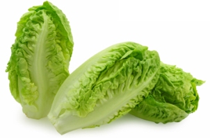 الخس يحتوي على عدد كبير من الفيتامينات