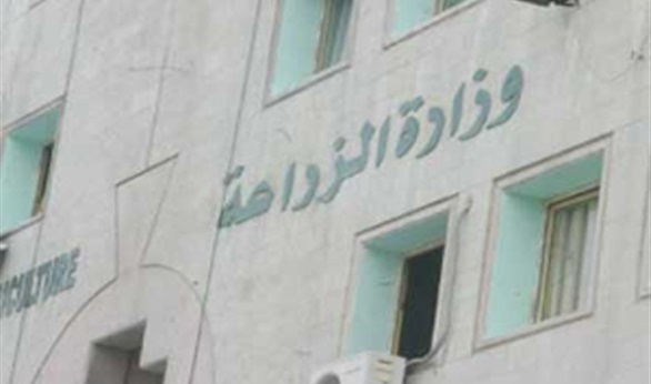 صندوق درء المخاطر والتأمينات الزراعية يعتمد نظامه الإداري والمالي الخاص
