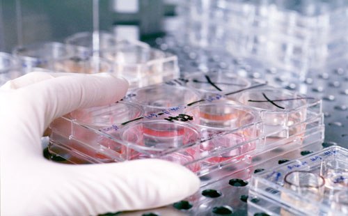 علماء يطورون مضادا حيويا يقتل البكتريا دون مقاومة