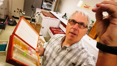 علماء يعثرون على أصغر بيضة في العالم