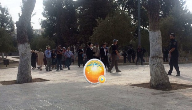 88 مستوطنا يقتحمون باحات المسجد الأقصى المبارك