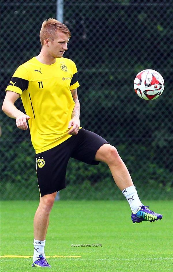 تعافي هوميلس وريوس وعودتهما للتدريبات