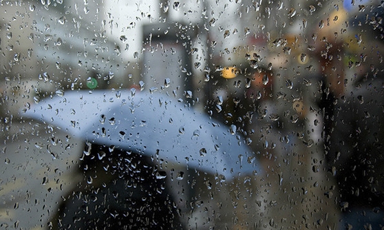 الطقس: أجواء باردة ورياح قوية