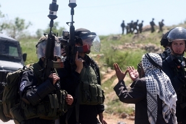 الاحتلال يمنع المزارعين من حصاد القمح في نابلس