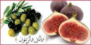 ﺍﻟﺘﻴﻦ ﻭﺍﻟﺰﻳﺘﻮﻥ ..يدخلان ياباني الإسلام 