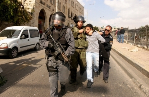 محدث: اعتقال12 فلسطينيا في الضفة والقدس