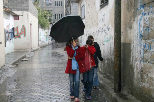 22 ملماً نسبة الأمطار التي هطلت على نابلس خلال 24 ساعة