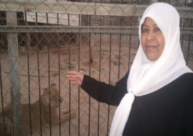 الاحتلال يفرح اليوم عن الاسيرة رسمية بلاونه