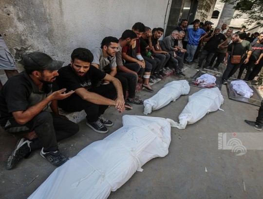 شهداء 13-7.jpg-7155a471-7679-44c1-a073-b70c46f9d2be.jpg