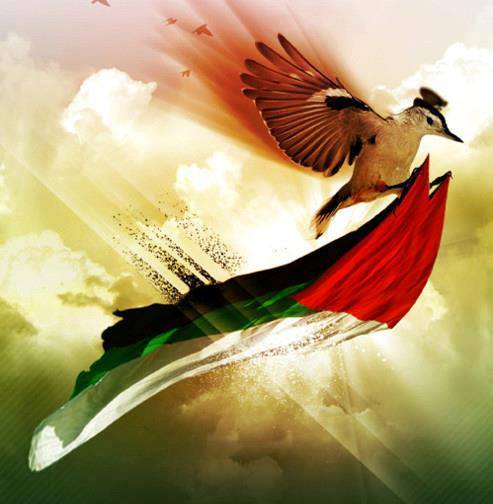 الأجندة المحلية في نشرة صباح  فلسطين