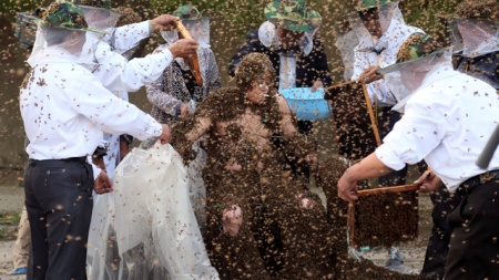 362 ألف نحلة تغطي جسم رجل صيني 