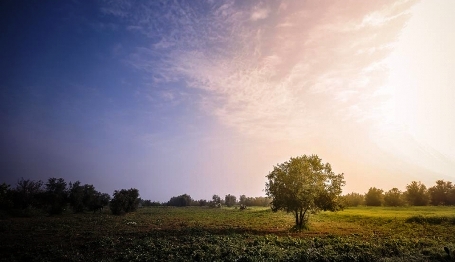 أجواء صافية والحرارة إلى ارتفاع