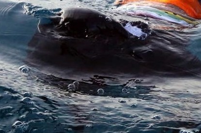غرق شاب في مجمع مياه جنوب جبل الخليل