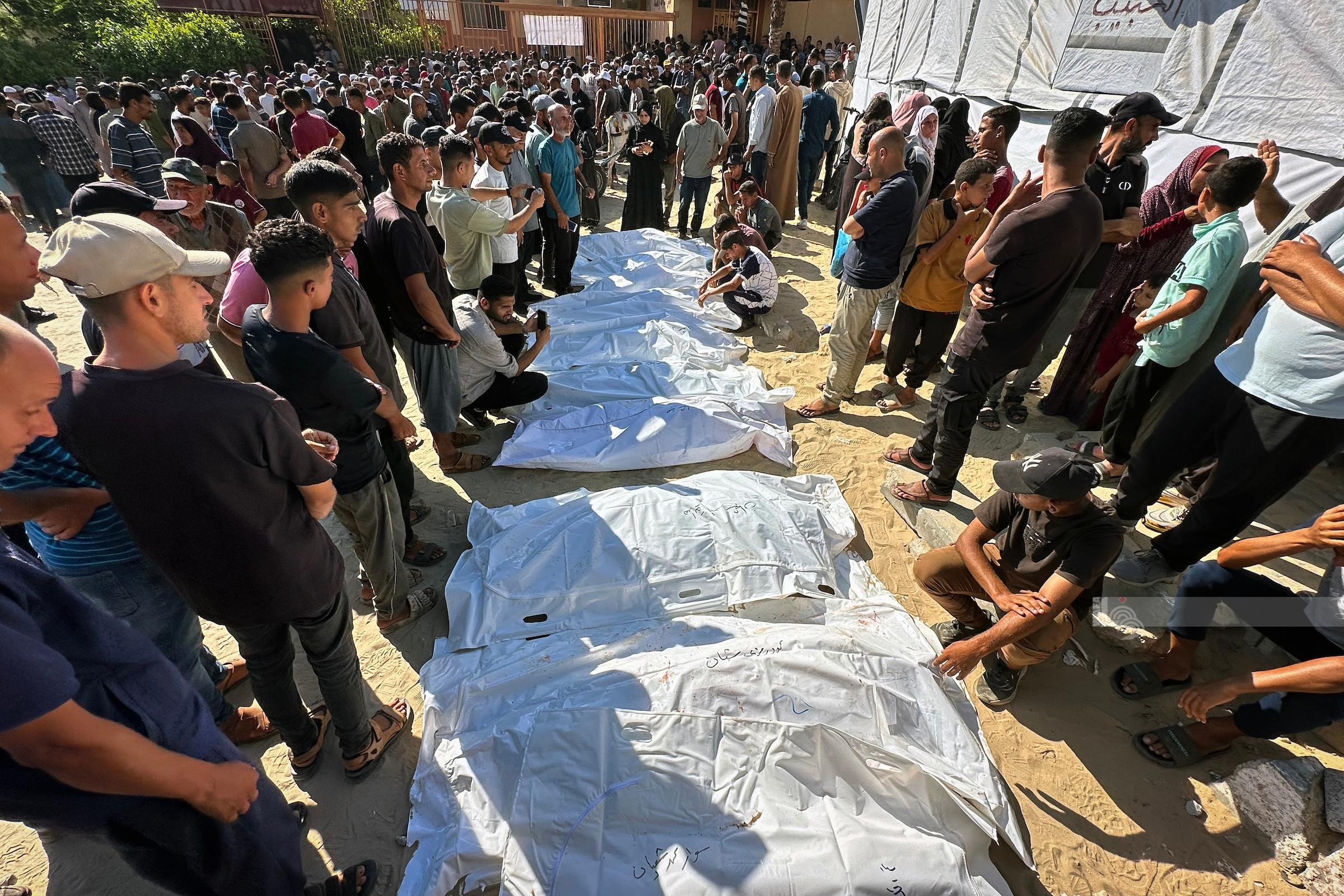 WafaImage (1).jpg-21a959e8-615d-46bd-8f77-323470fea316.jpg