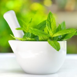 النعناع  له من الفوائد الجمالية والصحية ..الكثير 