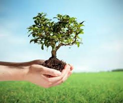 أكثر من 40 مزارعا من غزة يشاركون في ورشة عمل زراعية  بفلسطين المحتلة عام 48