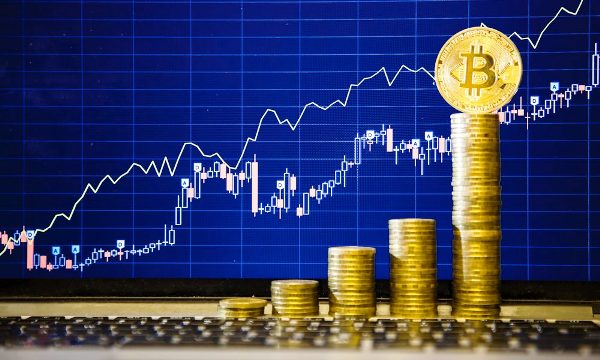ارتفاع قيمة الـ
