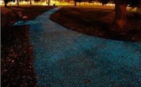 هولندا تستغني عن أعمدة الإنارة في الطرقات ليلاً