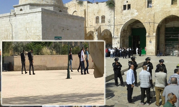 مستوطنون يقتحمون الأقصى بحراسة قوات الاحتلال