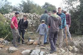 قطعان المستوطنين يهاجمون شبانا فلسطينيين قرب مستوطنة 