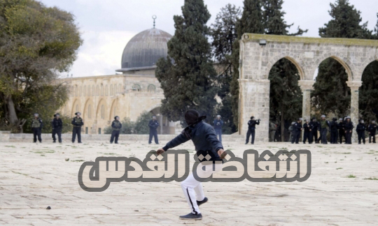 35 يوماً على انتفاضة القدس.. 75 شهيداً وأكثر من 2368 إصابة بالرصاص