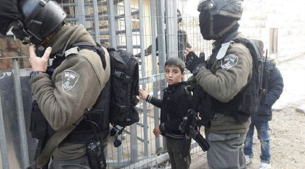 بينهم طفل... قوات الاحتلال تعتقل 8 فلسطينيين من الضفة المحتلة