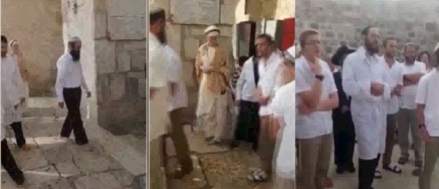 عشرات المستوطنين يقتحمون باحات الأقصى