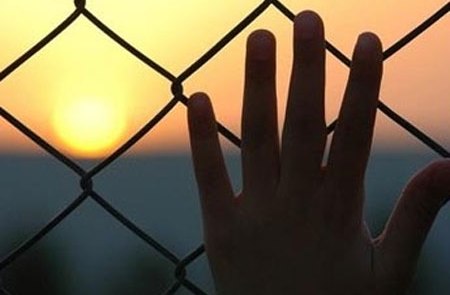 الدولة المقصلة