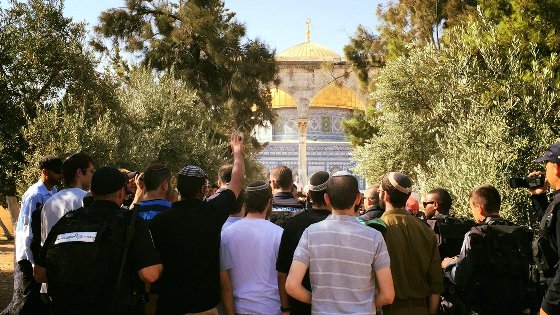 بكيرات: الاحتلال يستغلّ موسم الأعياد لتنفيذ مخططه بشأن الأقصى