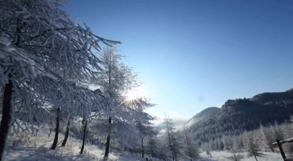 عجائب بيضاء في الصين