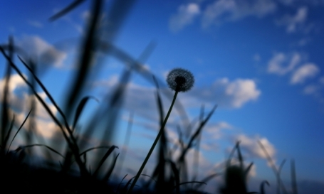 الحرارة أدني من معدلها السنوي العام بقليل